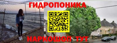 2c-b Новозыбков
