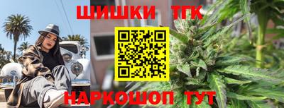 гидра Новодвинск