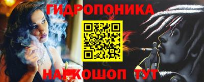 2c-b Новозыбков