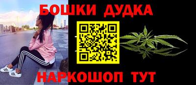 гидра Новодвинск