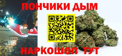 гидра Новодвинск