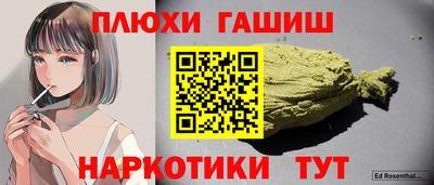 гидра Новодвинск