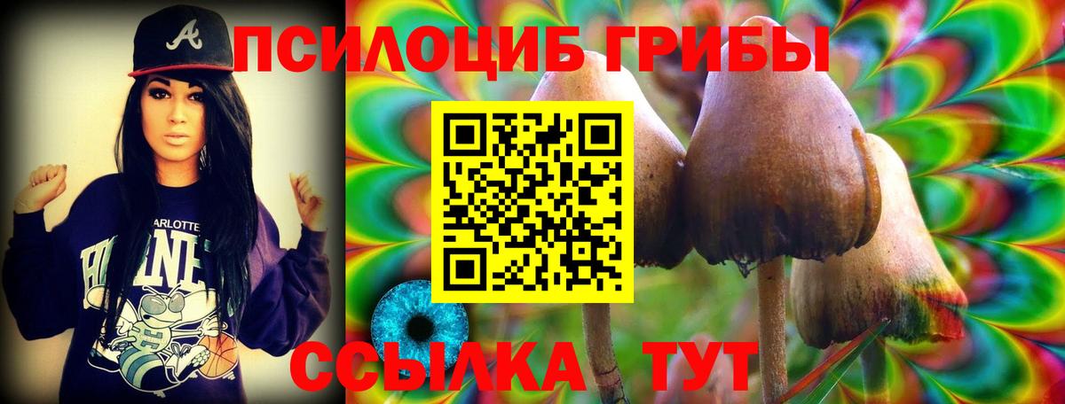 Псилоцибиновые грибы мухоморы  Галлюциногенные грибы мицелий  Валуйки  где купить наркотик  Вход с VPN 