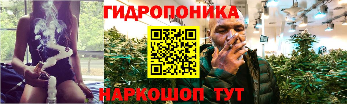 Шишки марихуана конопля Валуйки
